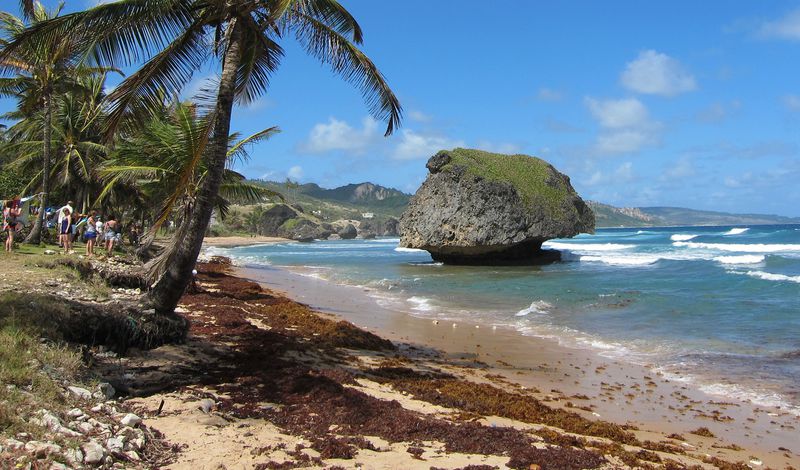 12 Best Beaches In Barbados Ultimate Guide January 2024